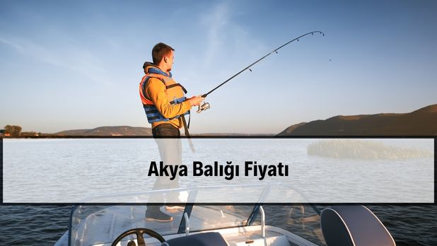 2026 Akya Baligi Fiyati 2026 akya balığı fiyatları ve taze balık görünümü